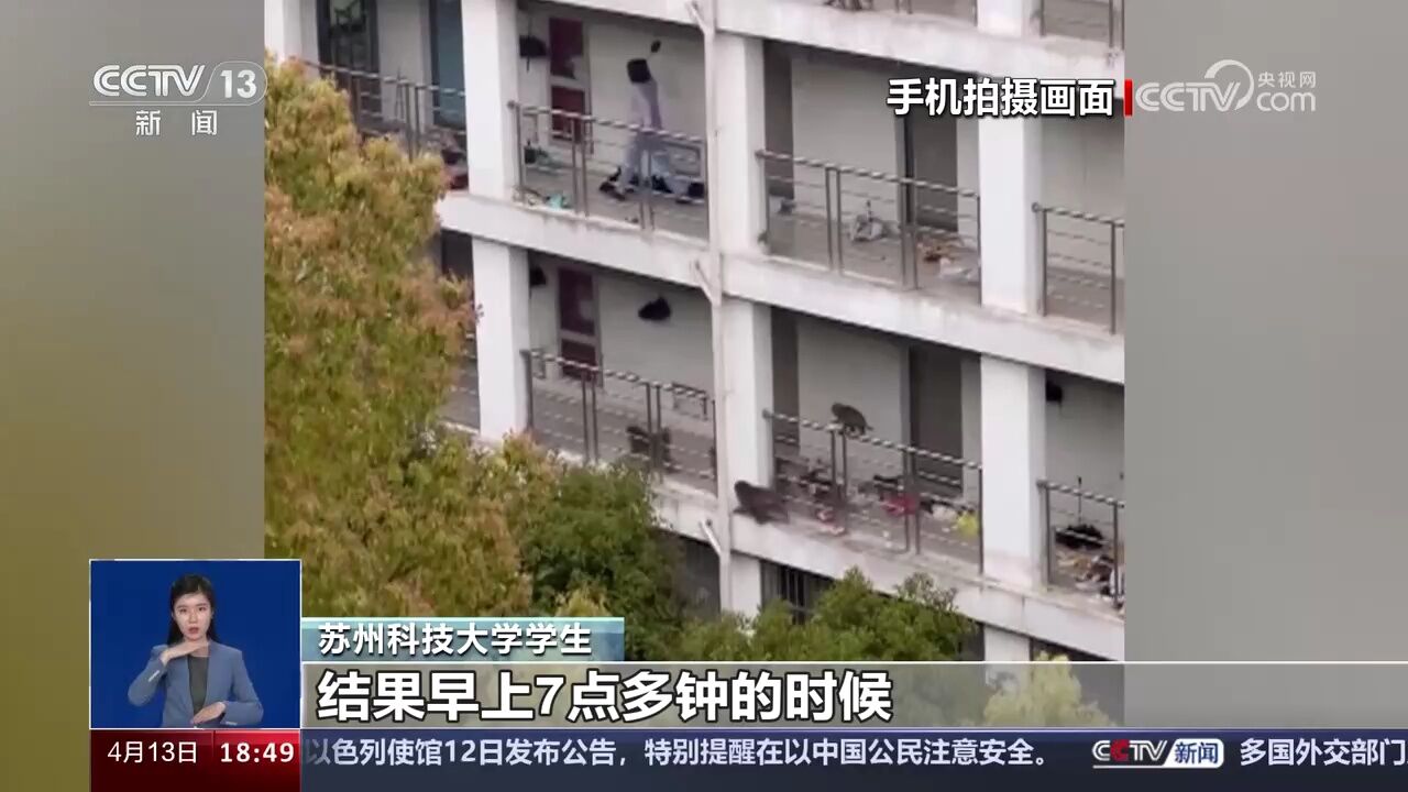 江苏苏州 猴群闯入高校宿舍区 学生称其是“常客”