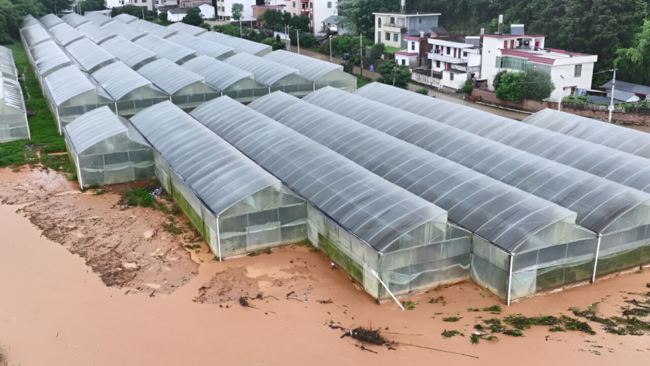 强降雨致江西赣州4373人受灾 全市已转移232人