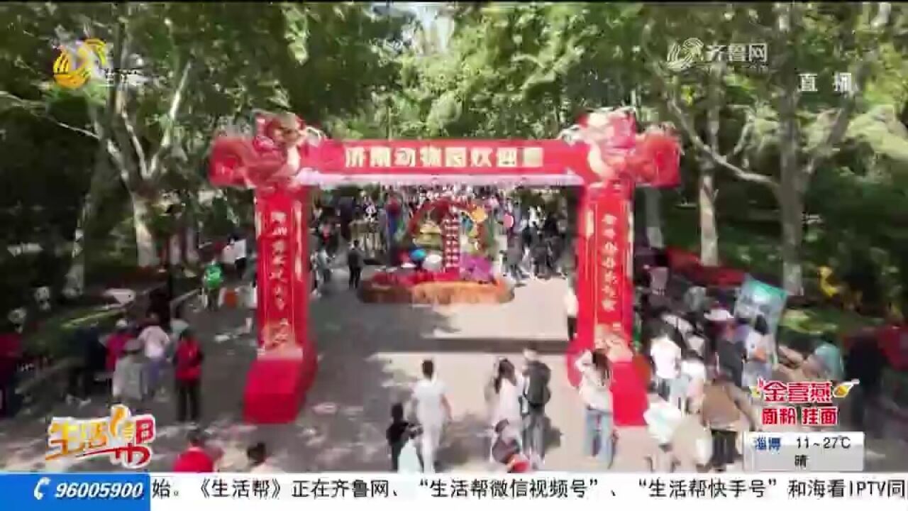 建园65周年,济南动物园“上新”,为游客准备丰富活动