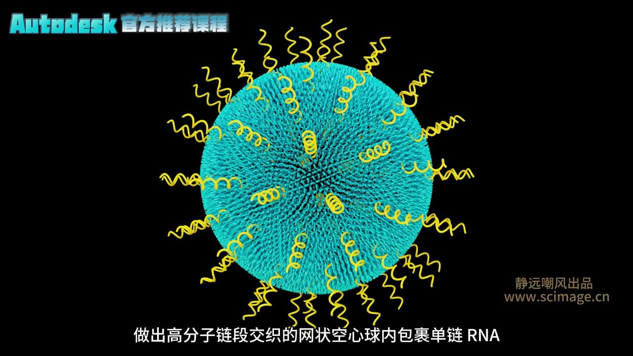 【SCI科研制图教程】如何用maya软件做高分子链段的空心球内包裹单链RNA(Maya软件)