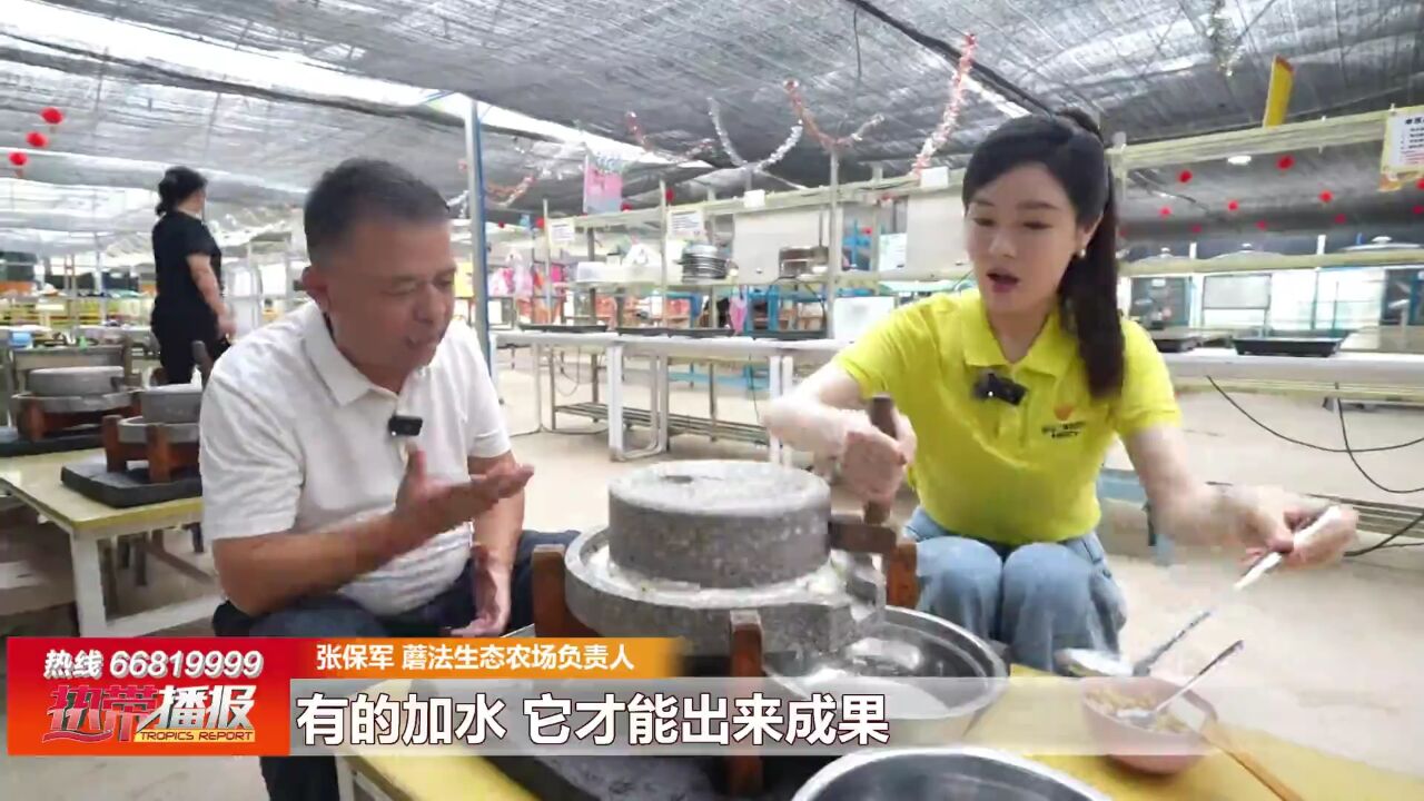 快乐五一 七彩假期:“蘑法”天地 趣味十足