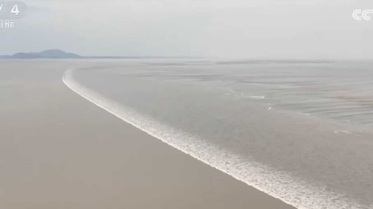 浙江海宁:钱塘江迎来初夏首波大潮汛