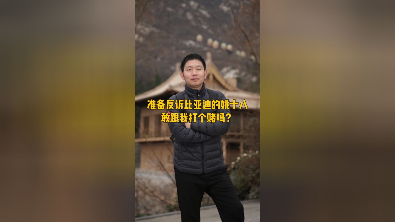 准备反诉比亚迪的姚十八敢跟我打赌吗?