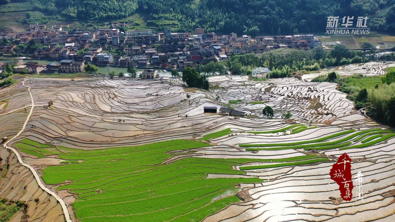 千城百县看中国丨福建屏南:千亩梯田等你来邂逅