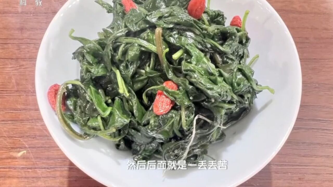 枸杞叶还能做成美味佳肴?专家分享这道美食,看嘉宾如何评价口感