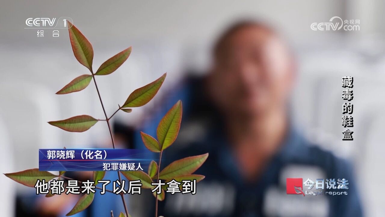 屋外没窗没门墙倒塌 屋内茶室客厅健身房?地下毒网覆灭记