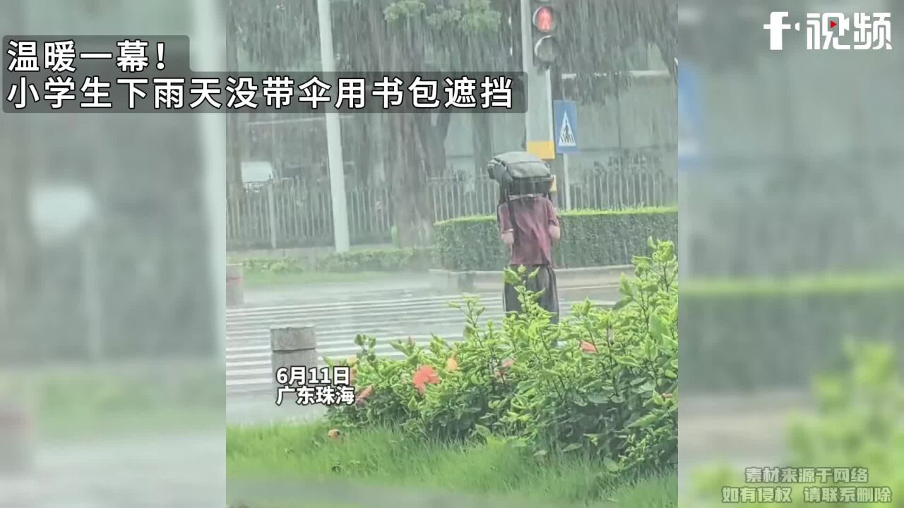 温暖一幕!学生下雨天没带伞用书包遮挡,等红绿灯女子冲下车送伞