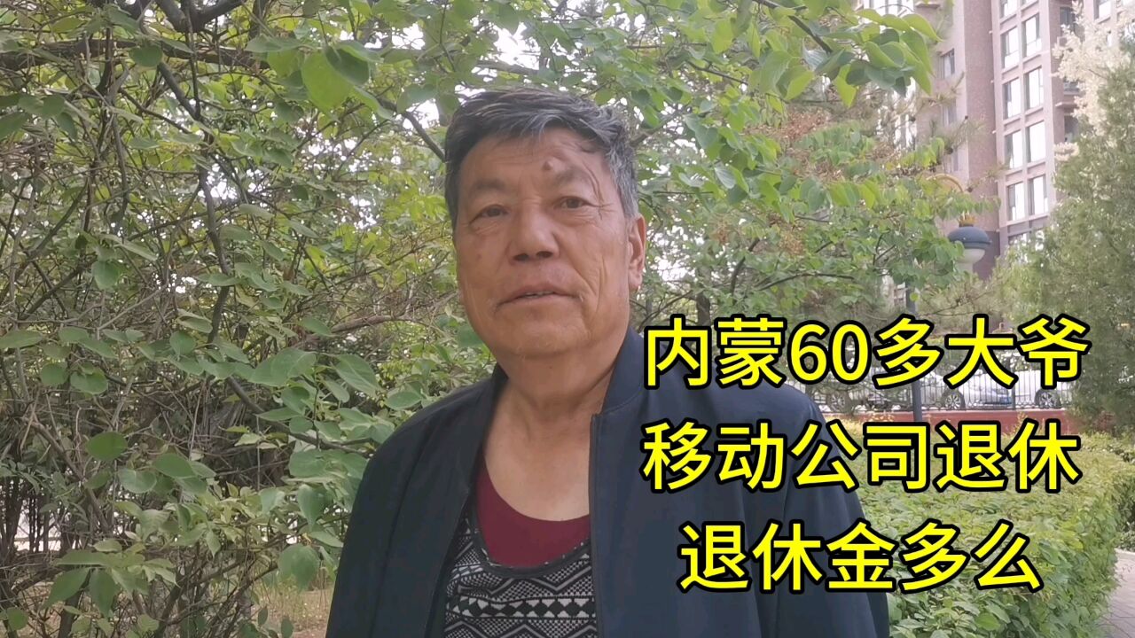 内蒙60多大爷,移动公司退休,退休金多么