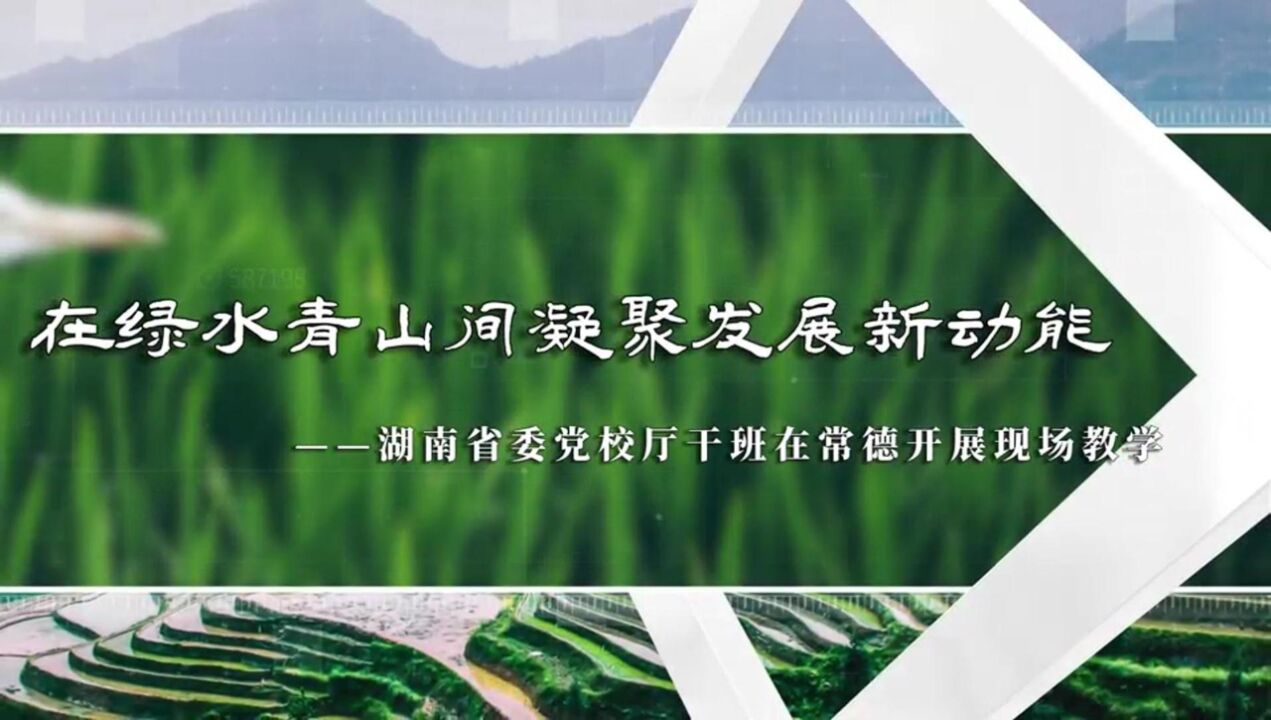 在绿水青山间凝聚发展新动能|湖南省委党校厅干班赴常德专题学习现场调研纪实