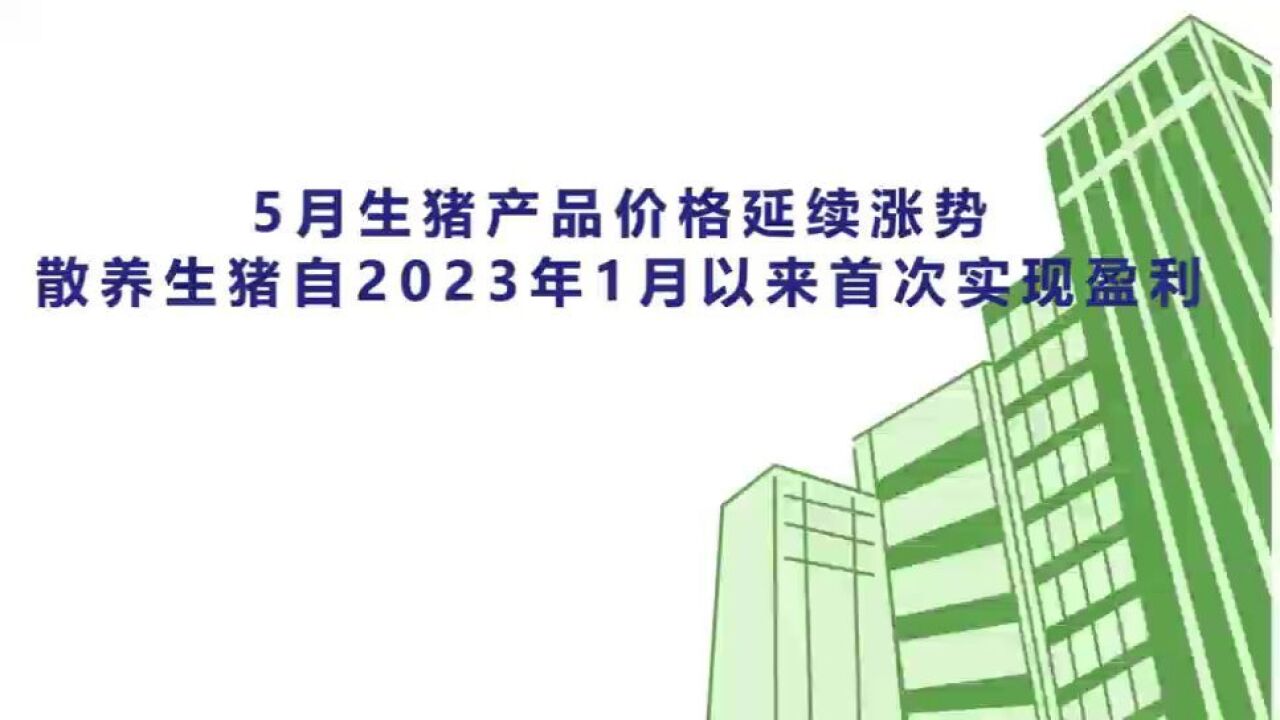 【生猪月报】5月份生猪产品价格延续涨势