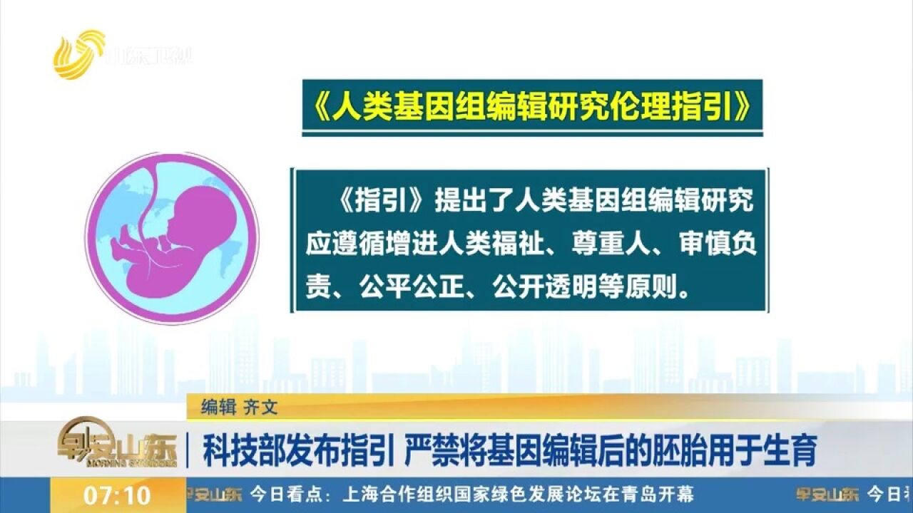 科技部发布指引,严禁将基因编辑后的胚胎用于生育