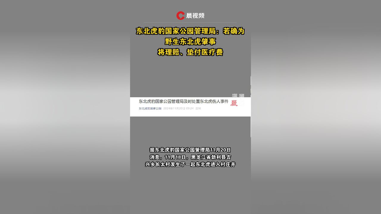 东北虎豹国家公园管理局:若确为野生东北虎肇事,将理赔、垫付医疗费