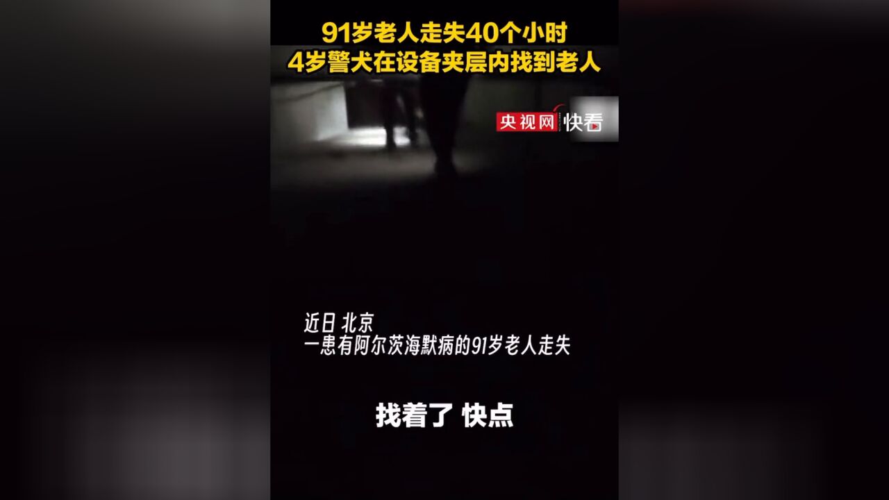 91岁老人深夜离家走失40个小时,4岁警犬找到老人