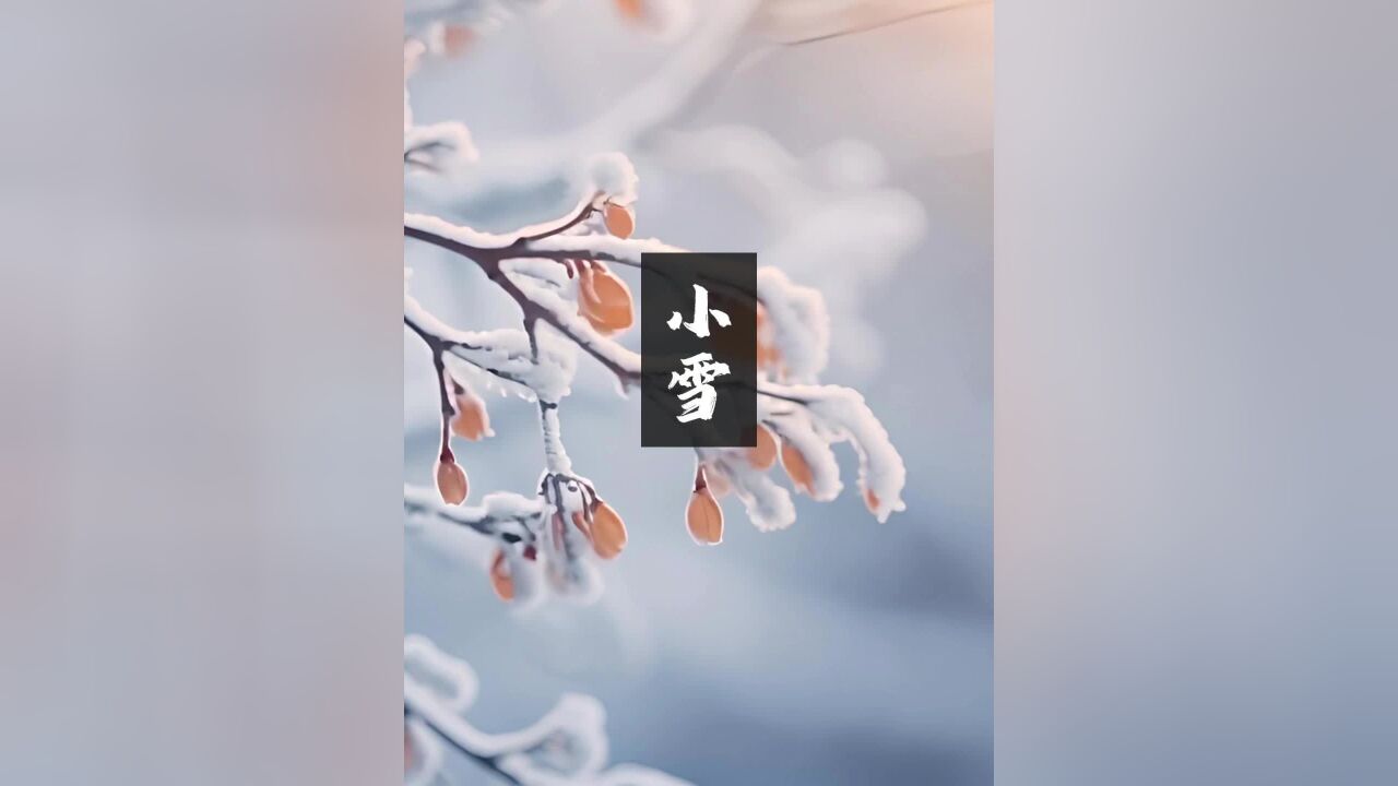 诗词里的24节气|小雪