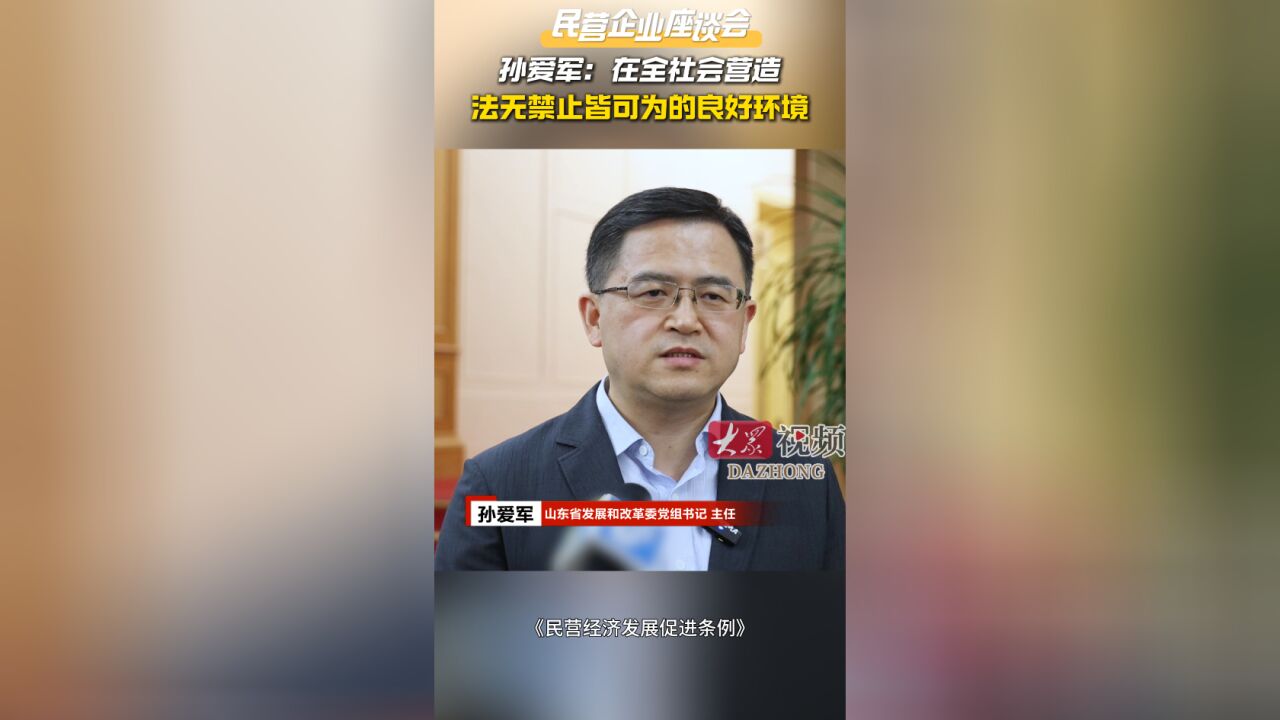 民营企业座谈会|孙爱军:在全社会营造法无禁止皆可为的良好环境