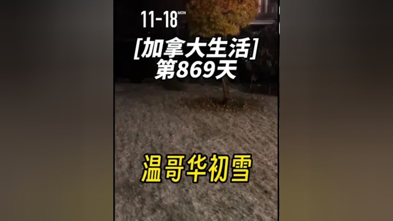 《温哥华初雪》 加拿大生活|第869天,温哥华的第一场雪比我的心里预期早了十天,这个状态来看,明天要开始屯盐了