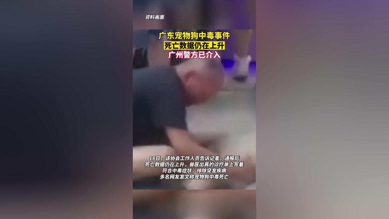 广东宠物狗中毒事件死亡数据仍在上升,广州警方已介入