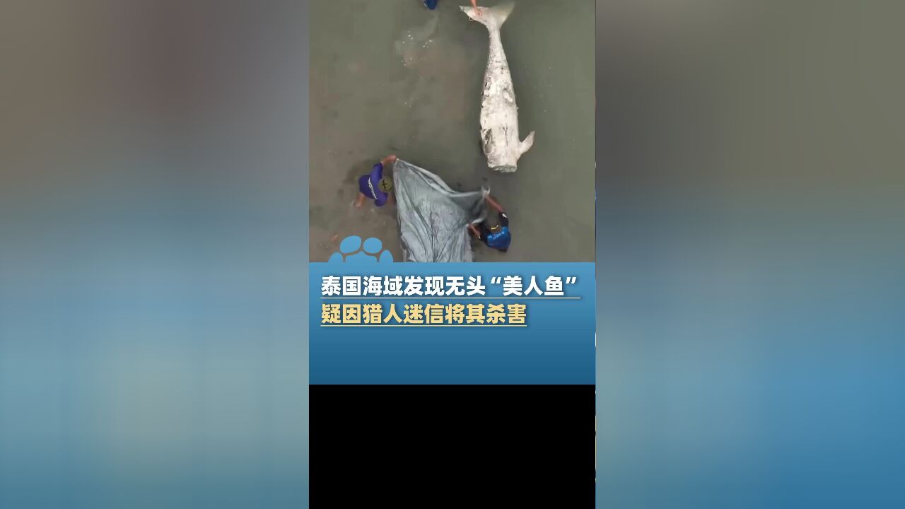 泰国海域发现无头“美人鱼”,疑因猎人将其杀害,打捞现场曝光