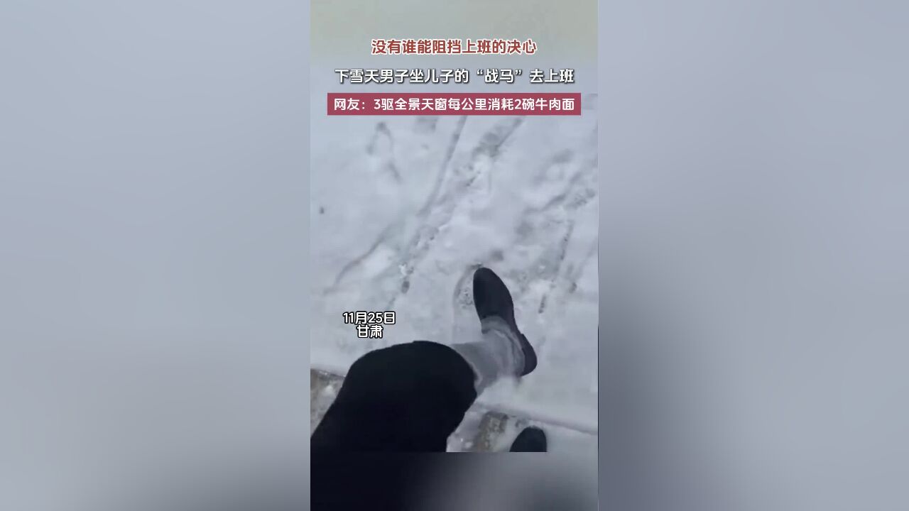 没有谁能阻挡上班的决心!下雪天男子坐儿子的“战马”去上班