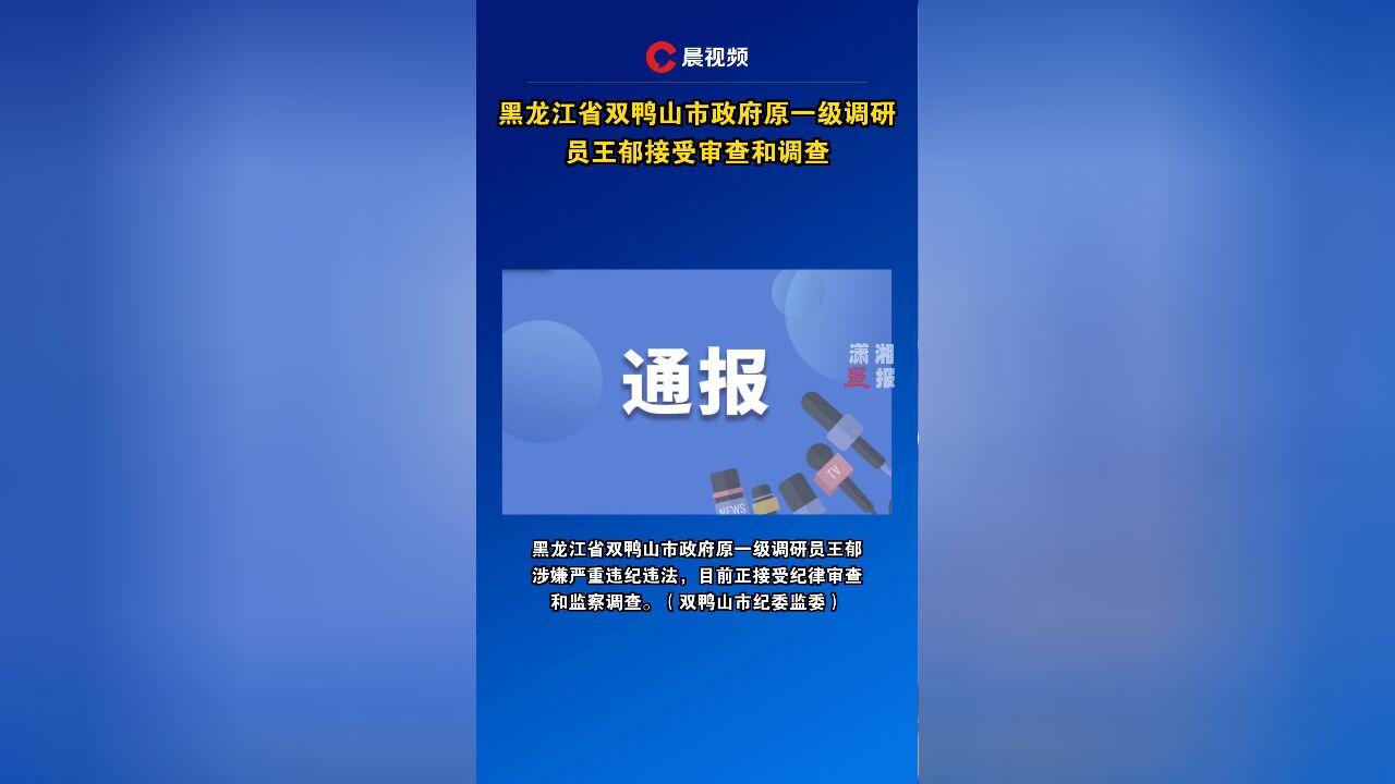 黑龙江省双鸭山市政府原一级调研员王郁接受审查和调查