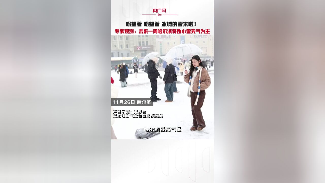 雪来啦!未来一周哈尔滨以小雪天气为主