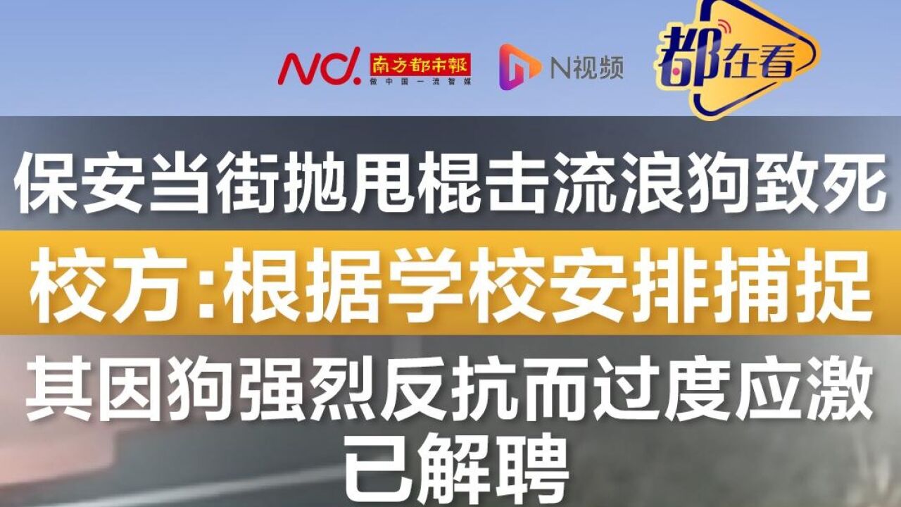 保安抛甩棍击流浪狗致死,校方称其因狗强烈反抗而过度应激