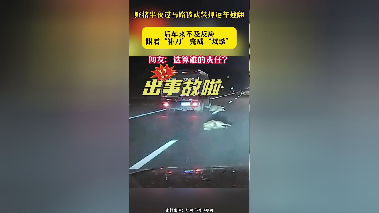 野猪半夜过马路被武装押运车撞翻 后车来不及反应跟着“补刀”完成“双杀”网友:这算谁的责任?