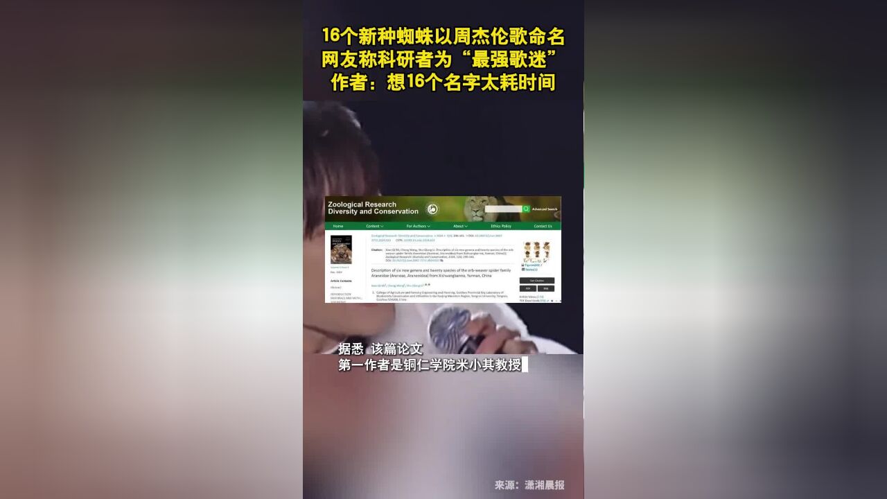 16个新种蜘蛛以周杰伦歌命名,网友称科研者为“最强歌迷”.