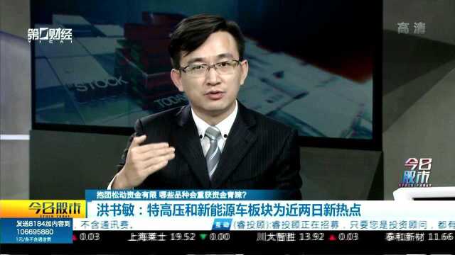 抱团松动资金有限 哪些品种会重获资金青睐? 洪书敏:特高压和新能源车板块为近两日新热点