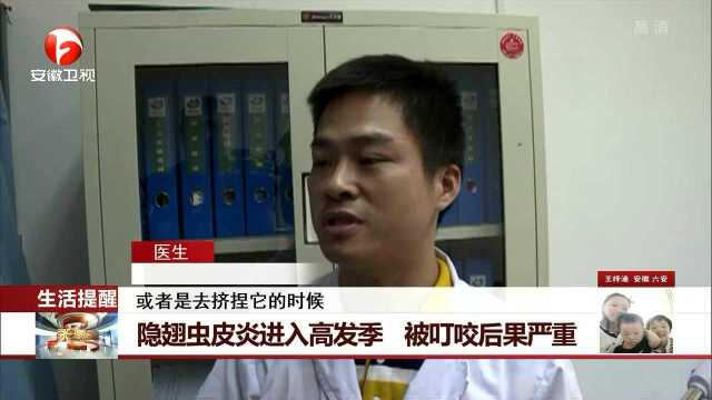 隐翅虫皮炎进入高发季 被叮咬后果严重