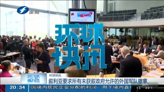 德国极右翼政党“德国选择党”民调支持率首超主流大党