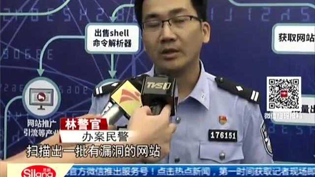 黑客入侵2000多个网站牟利 团伙落网