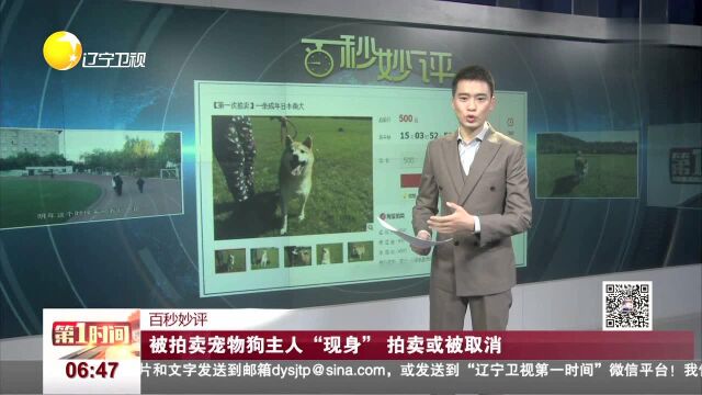 百秒妙评 被拍卖宠物狗主人“现身” 拍卖或被取消