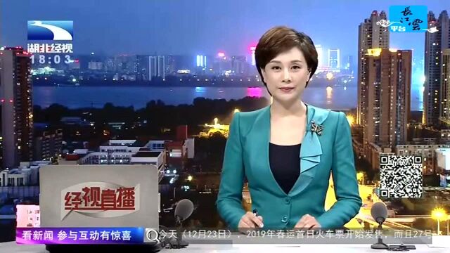 激流“泳”进 湖北游泳砥砺前行60载