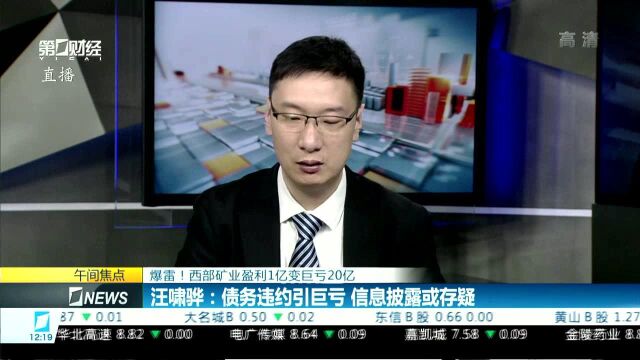 爆雷!西部矿业盈利1亿变巨亏20亿 汪啸骅:债务违约引巨亏 信息披露或存疑