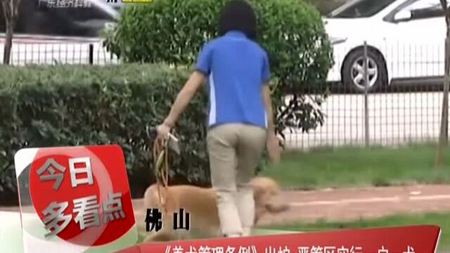 佛山:《养犬管理条例》出炉 严管区实行一户一犬