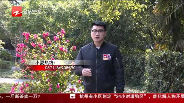 问题车展前2小时遭4S销售威胁 “过了315没必要再谈”