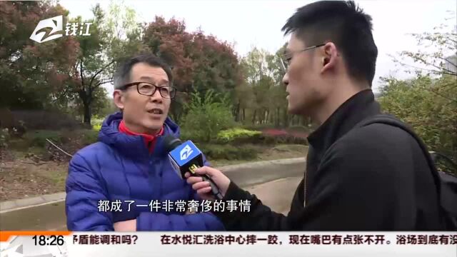 杭州东海闲湖城:新一期地块开发 小区道路为何变样?