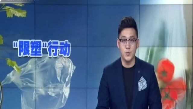 “限塑”行动再升级 塑料垃圾出口有限令