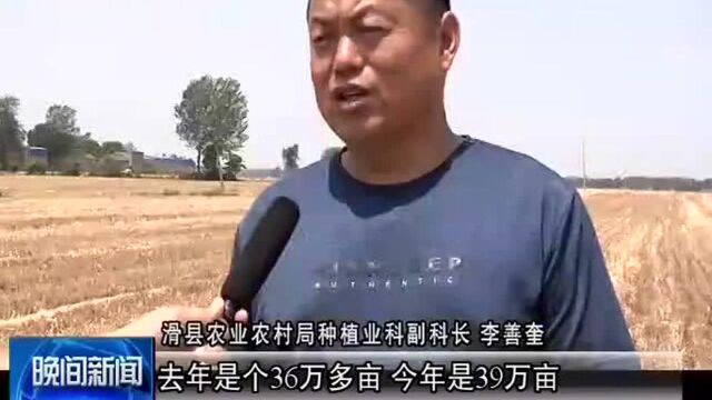 滑县:调整种植结构“四优四化”显成效