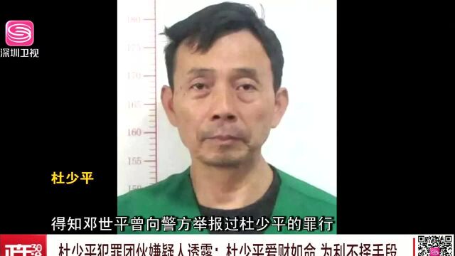 杜少平犯罪团伙嫌疑人透露:杜少平爱财如命 为利不择手段