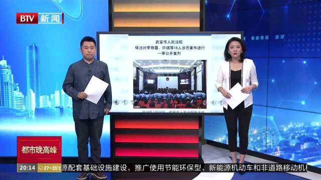 河北邯郸:“爱心妈妈”李利娟一审获刑20年