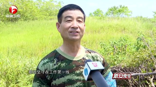 高温下的坚守:烈日当头除水草“水深火热” 保河道