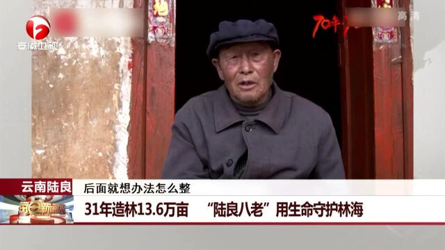 31年造林13.6万亩 “陆良八老” 用生命守护林海