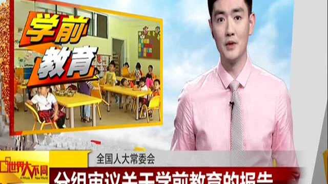 全国人大常委会:分组审议关于学前教育的报告