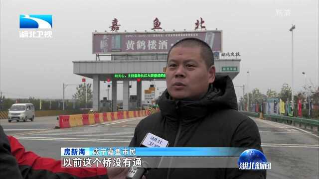 重大项目进行时 嘉鱼长江公路大桥通车