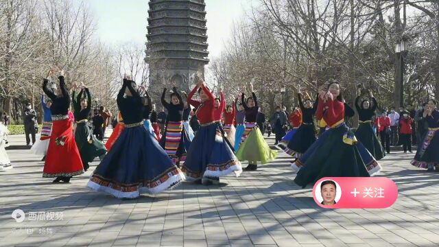 小红丁香领舞《吉祥》精彩纷呈,场上主力众多!