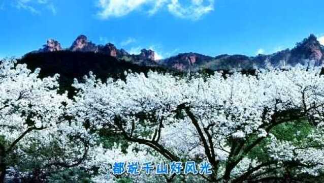 千山好风光