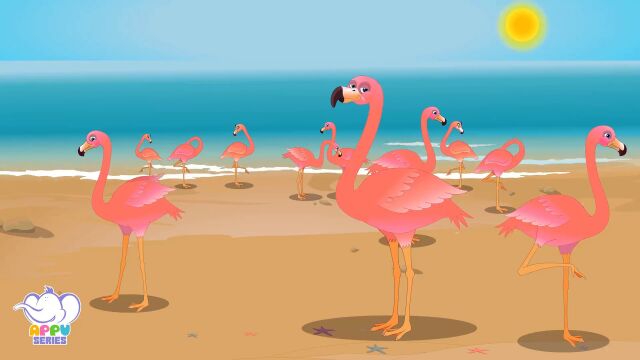 第4集 火烈鸟 Flamingo