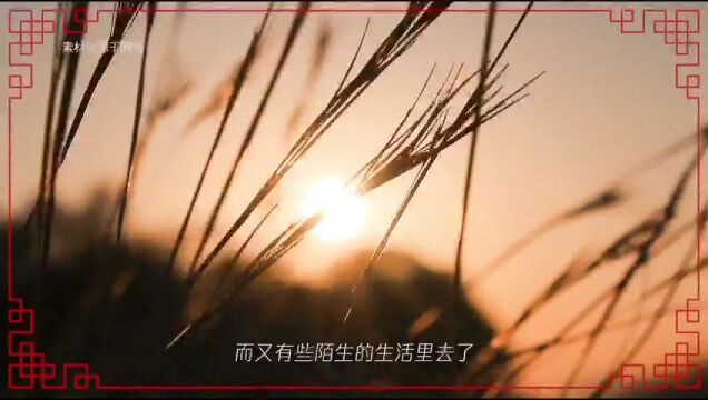 NBA常规赛：雄鹿vs活塞 中文解说全场回放